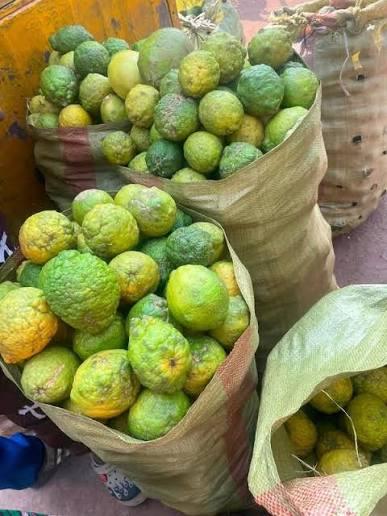 Lemons hit K900 per 50Kg at Kasumbalesa