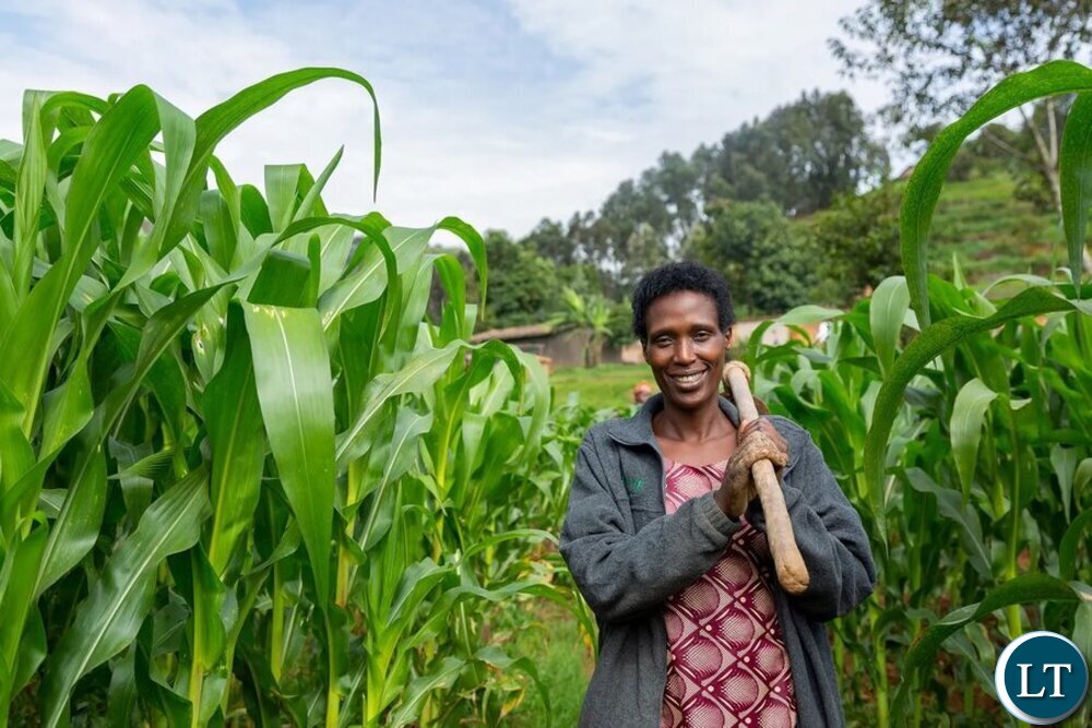 Zambia : Muchinga DPS Hails WFP’ Support In Agriculture Sector