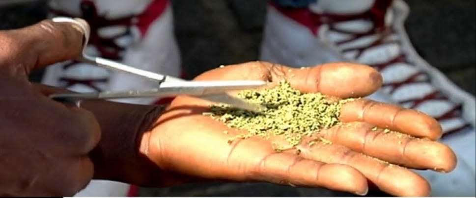 Zambia : Chisamba Magistrate Court Sentences Marijuana Trafficker
