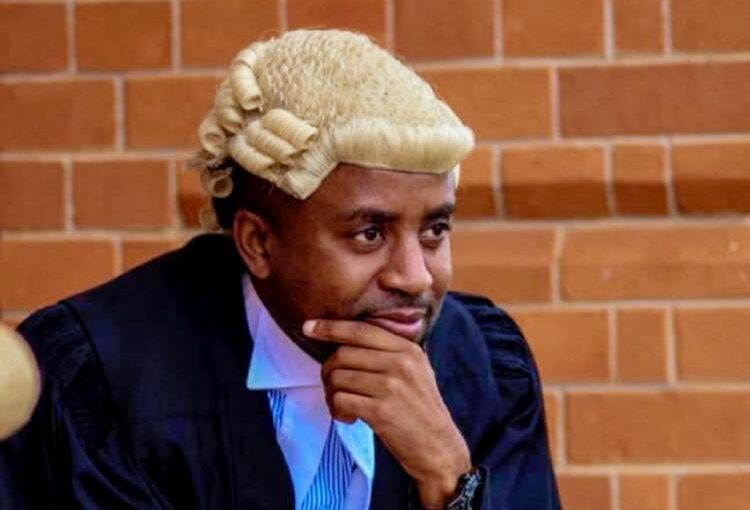 Zambia : Constitutional Court Urged To Revisit Running Mate Ruling Before Crisis Deepens