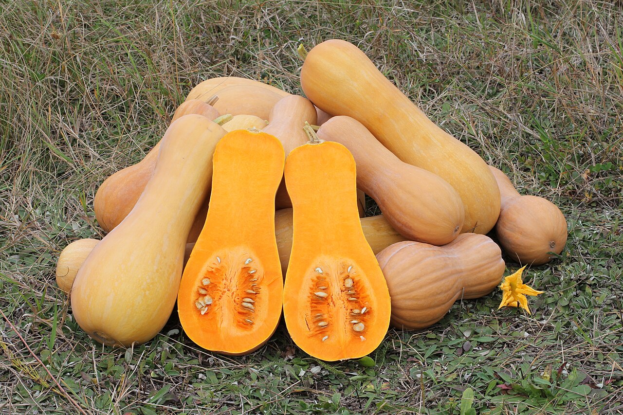 Butternut buyers offering farmers K700 per 50kg bag