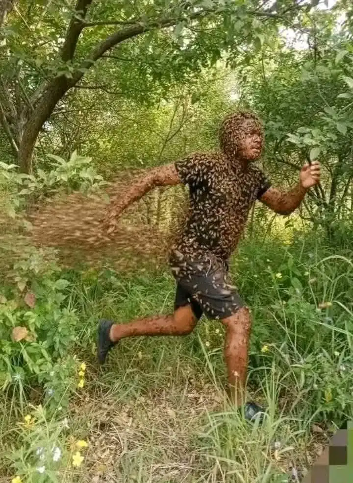 “Notorious & Untouchable Land Grabber In Our Area Got Attacked By Bees & Now He Is Changed” Lusaka Lady Tells What They Did To Bring Him To His Knees