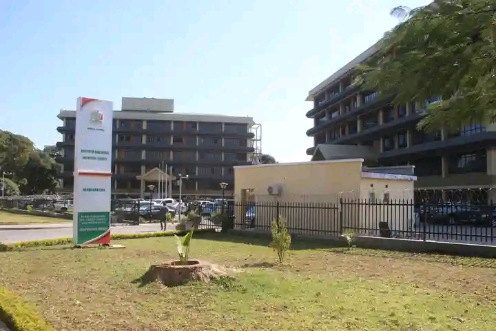THE ALLEGED PLOT TO DISRUPT ZAMBIA’S ELECTIONS BY TOONSE PAMODZI ALLIANCE