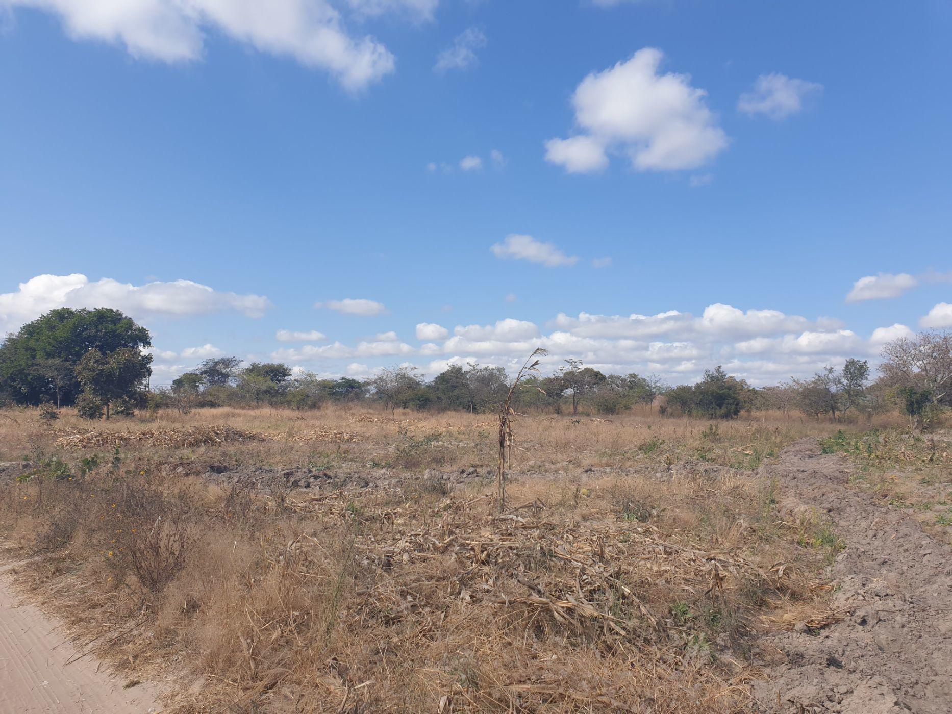 Don’t buy unserviced land to avoid costly losses – Warns Land Alliance