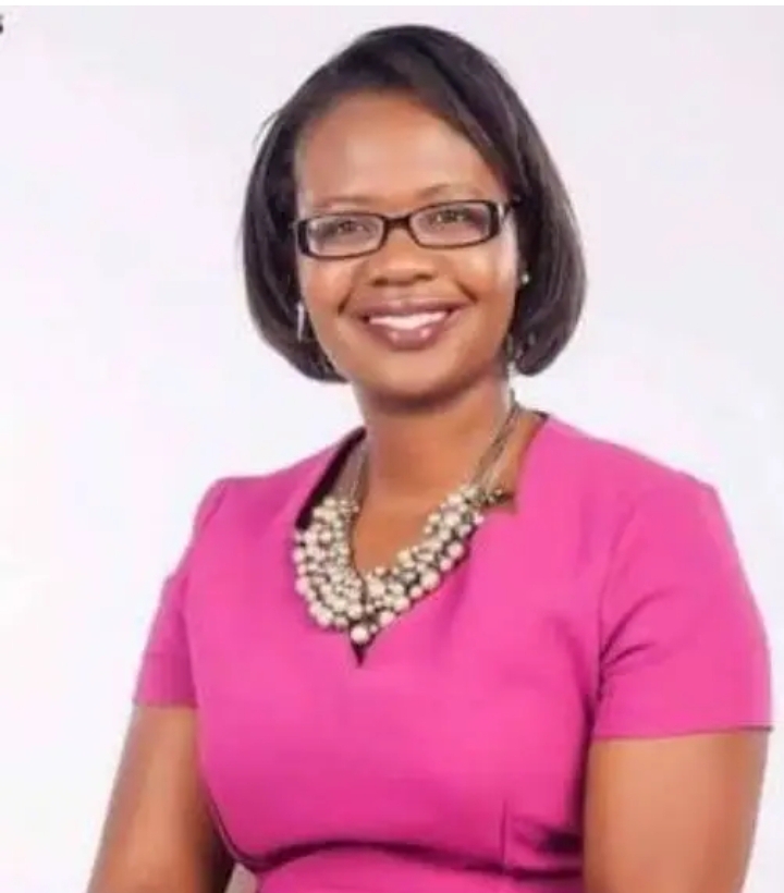 ELECTION CHALLENGE COLLAPSES…Civil Society shifts focus to legal reforms after failed vote petition