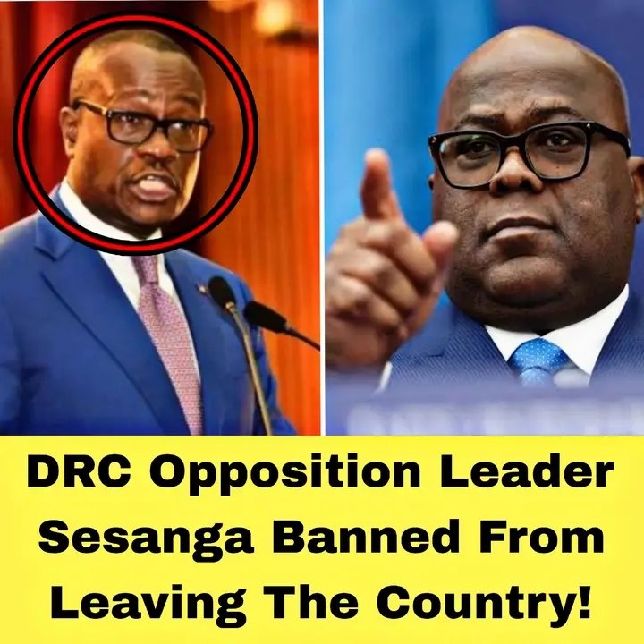 DRC Opposition Leader Delly Sesanga Banned from Leaving the Country