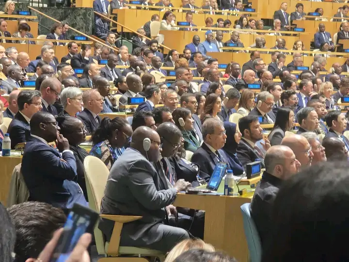 There are no protests against Zambia at the UN – Haimbe