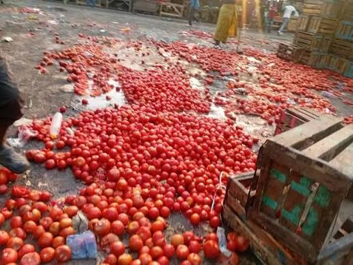 If fluctuating tomato prices are a trend, why are farmers still losing out?