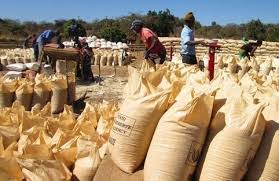 Zambia : FRA Depots Bring Relief To Lavushimanda Maize Farmers