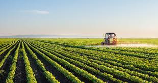Zambia : SAFADA To Train 50 Farmers In Climate-smart Agriculture