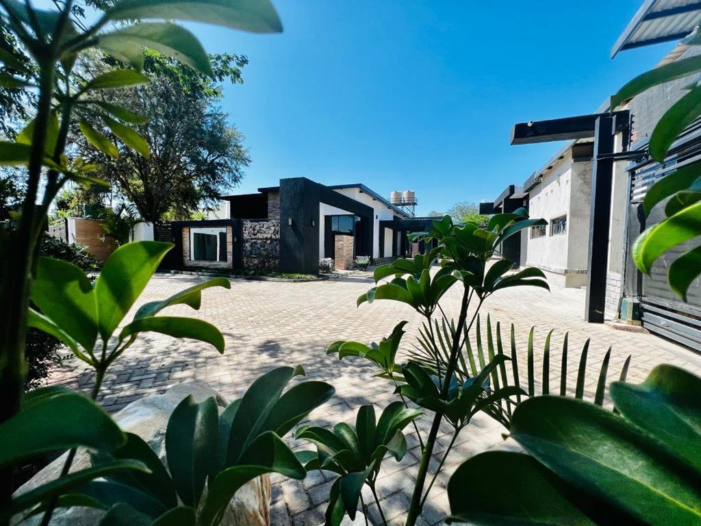 Developers count losses as luxury apartments remain unoccupied