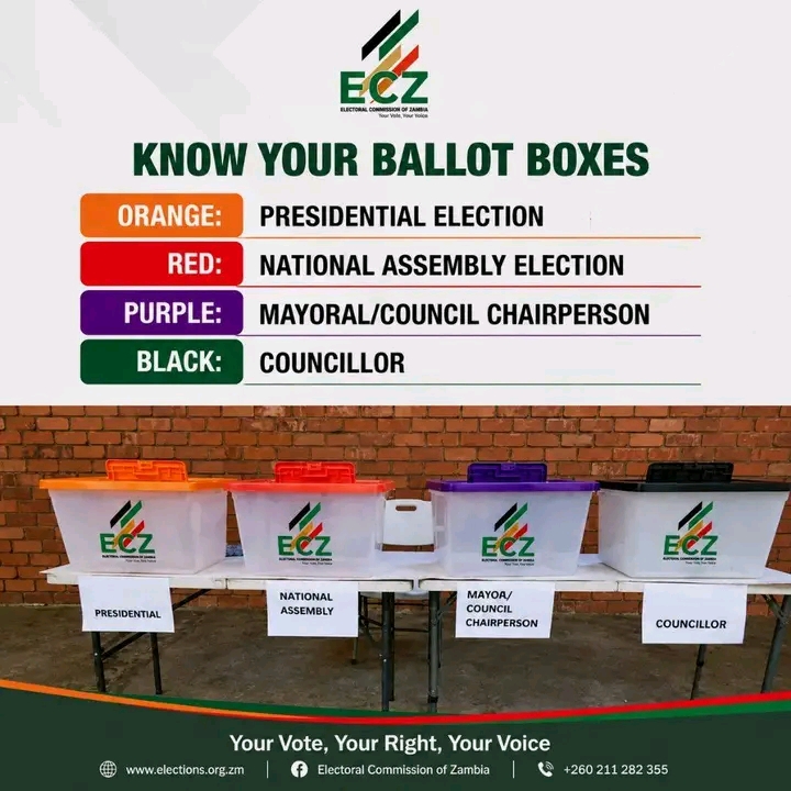 What to Expect Inside the Polling Station on Thursday