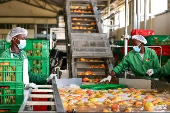 AFRICAN FOOTBALL STAR SADIO MANÉ REPORTEDLY INVESTS $20 MILLION IN MASSIVE MANGO PROJECT SET TO CREATE 1,000 JOBS AS HE CHOOSES COMMUNITY DEVELOPMENT OVER LUXURY LIFESTYLE