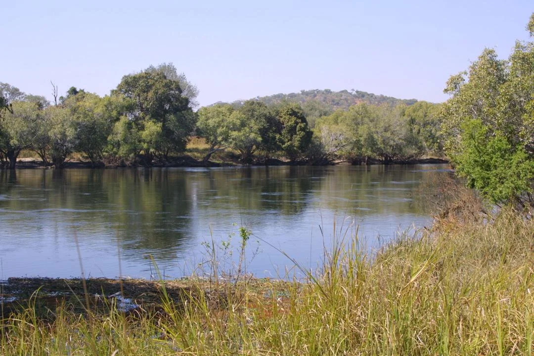 Zambia poised for another bumper harvest – Kangwa