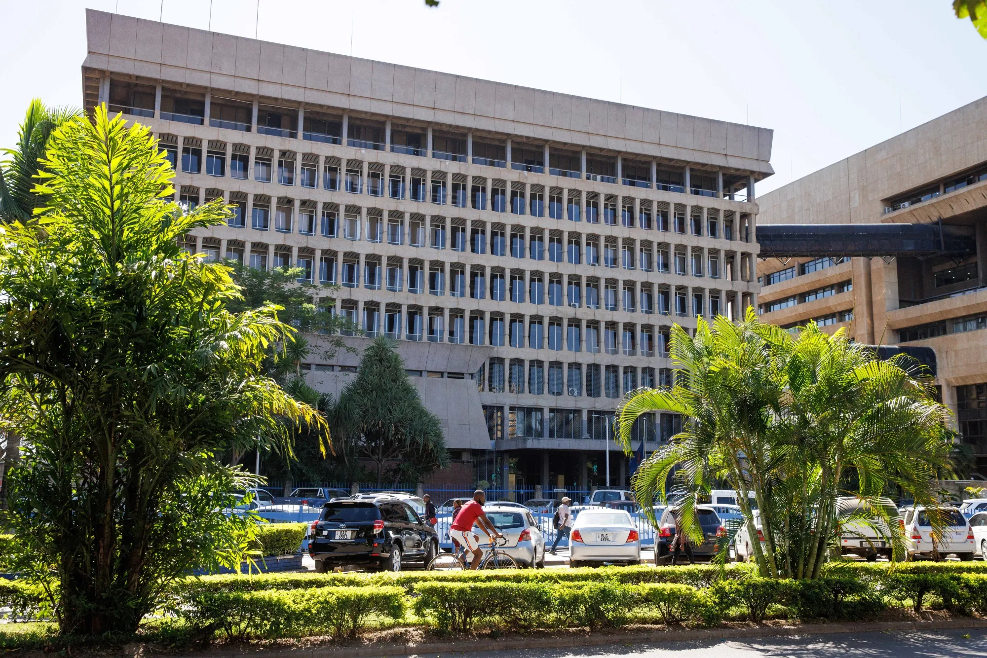 Domestic credit growth drops by 50%