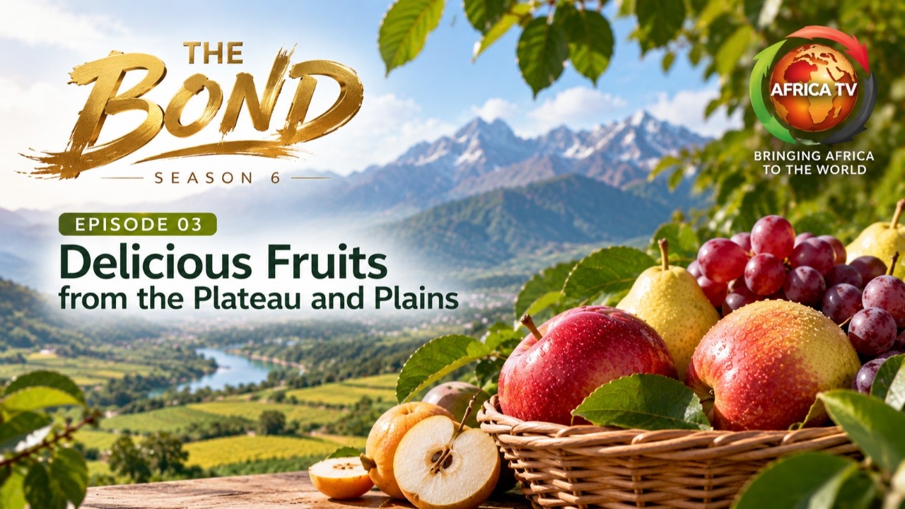 The Bond Season 6 explores fruit farming and innovation in Episode 3